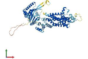 Protein Structure (PS) image for ATP-Binding Cassette, Sub-Family G (WHITE), Member 5 (ABCG5) (AA 1-652) protein (His tag) (ABIN7560457)
