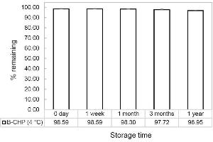 Stable percentage of reconstituted B-CHP stored at 4°C. (Collagen (COL) peptide (Biotin))