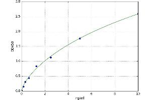 A typical standard curve