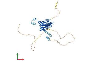Protein Structure (PS) image for LIM Domain Binding 2 (LDB2) (AA 1-373) protein (His tag) (ABIN7562496)