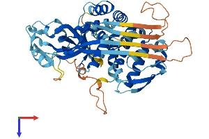 MLZE Protein (AA 1-468) (His tag)