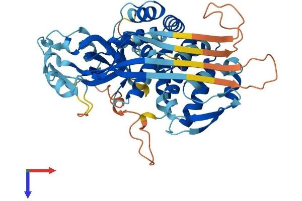 MLZE Protein (AA 1-468) (His tag)