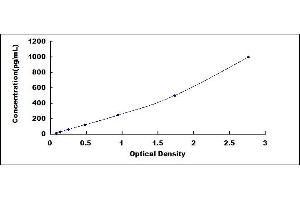 MMP7 ELISA Kit