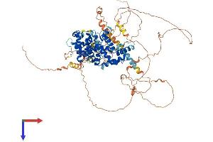 TBC1D30 Protein (AA 1-766) (His tag)
