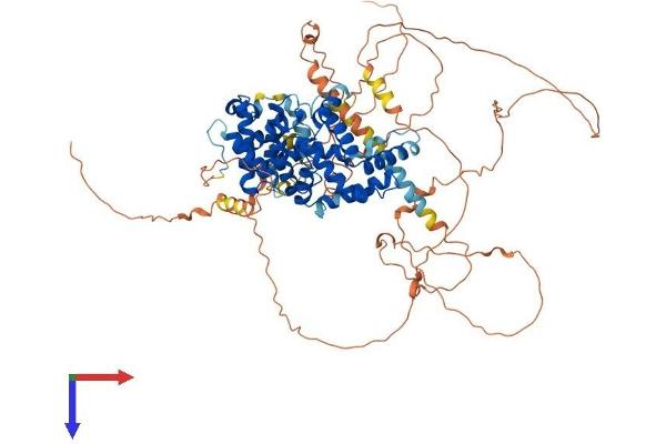 TBC1D30 Protein (AA 1-766) (His tag)