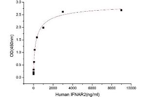 Activity Assay (AcA) image for Interferon alpha/beta Receptor 2 (IFNAR2) (AA 27-243) (Active) protein (His-Fc tag) (ABIN7607472)