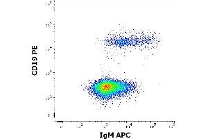 Flow cytometry multicolor surface staining of human lymphocytes stained using anti-human IgM (CH2) APC antibody (concentration in sample 0,6 μg/mL) and anti-human CD19 (LT19) PE antibody (20 μL reagent / 100 μL of peripheral whole blood). (Maus anti-Human IgM Antikörper (APC))