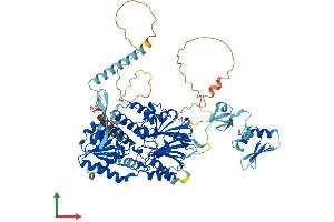 AlphaFold protein structure predicition of Mouse Recombinant Cpsf2 Protein, UniprotID O35218 (CPSF2 Protein (AA 1-782) (His tag))