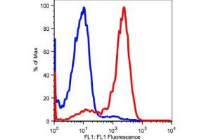 Image no. 2 for anti-CD2 (CD2) antibody (ABIN2704197) (CD2 Antikörper)