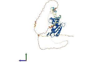 Protein Structure (PS) image for REX4, RNA Exonuclease 4 Homolog (REXO4) (AA 1-432) protein (His tag) (ABIN7558029)