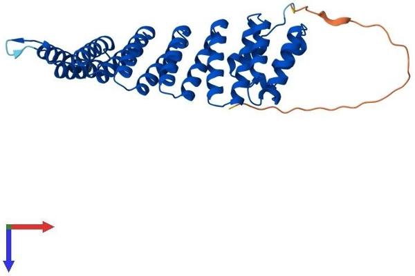NAPG Protein (AA 1-312) (His tag)