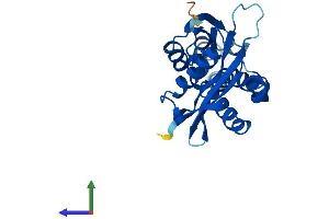 AlphaFold protein structure predicition of Human Recombinant NAT8 Protein, UniprotID Q9UHE5