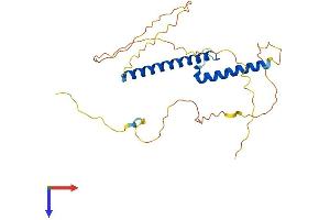 Neurogenin 2 Protein (NEUROG2) (AA 1-263) (His tag)