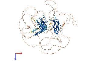 SYTL2 Protein (AA 1-950) (His tag)