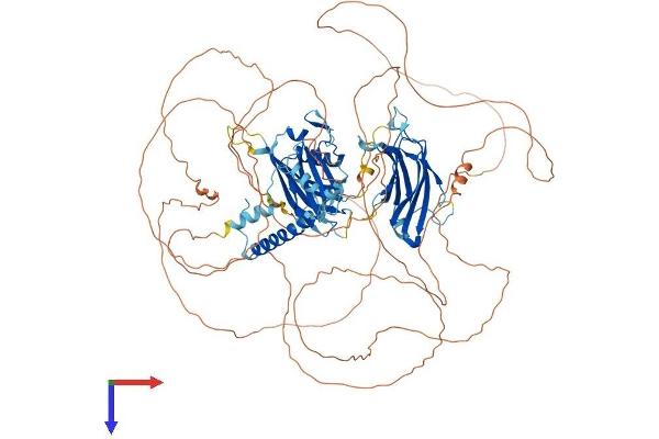 SYTL2 Protein (AA 1-950) (His tag)