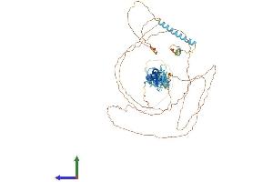 Protein Structure (PS) image for LIM Domains Containing 1 (LIMD1) (AA 1-676) protein (His tag) (ABIN7554398)