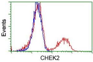 Flow Cytometry (FACS) image for anti-Checkpoint Kinase 2 (CHEK2) antibody (ABIN1497500) (CHEK2 Antikörper)