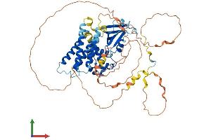 Protein Structure (PS) image for CNKSR Family Member 3 (CNKSR3) (AA 1-555) protein (His tag) (ABIN7546570)