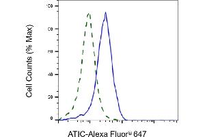 Validation of ATIC knockdown using flow cytometry. (ATIC Antikörper)
