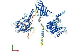Protein Structure (PS) image for Chondroitin Polymerizing Factor (CHPF) (AA 1-775) protein (His tag) (ABIN7553287)