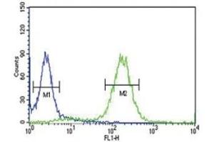 Anti-PCSK9 antibody flow cytometric analysis of HeLa cells (right histogram) compared to a negative control (left histogram). (PCSK9 Antikörper  (AA 479-508))