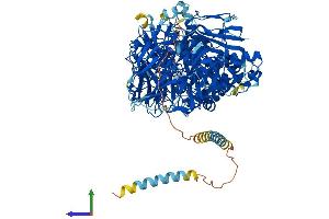 Protein Structure (PS) image for Mannosidase, Alpha, Class 2A, Member 1 (MAN2A1) (AA 1-1144) protein (His tag) (ABIN7554499)