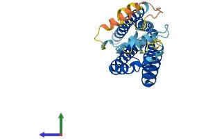Protein Structure (PS) image for Tetraspanin 26 (TSPAN26) (AA 1-281) protein (His tag) (ABIN7557708)