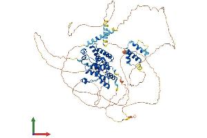 AlphaFold protein structure predicition of Human Recombinant BRD2 Protein, UniprotID P25440 (BRD2 Protein (AA 1-801) (His tag))