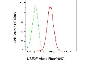 Flow cytometric analysis of UBE2F expression in HAP-1 cells using UBE2F antibody (ABIN7800745), 1:2,000).