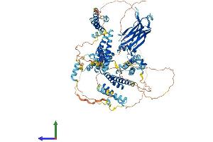 Protein Structure (PS) image for Coiled-Coil and C2 Domain Containing 1A (CC2D1A) (AA 1-943) protein (His tag) (ABIN7564621)