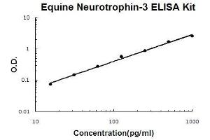 Horse equine Neurotrophin-3 PicoKine ELISA Kit standard curve