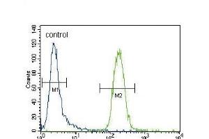 CYP3A4 Antibody (Center) ABIN392216 flow cytometric analysis of CEM cells (right histogram) compared to a negative control cell (left histogram). (CYP3A4 Antikörper  (AA 228-255))