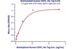 Binding Studies (Bind) image for CD47 (CD47) (AA 19-139) (Active) protein (His tag,AVI tag,Biotin) (ABIN4949015)