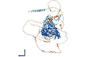 Protein Structure (PS) image for beta-1,4-N-Acetyl-Galactosaminyl Transferase 4 (B4GALNT4) (AA 1-1034) protein (His tag) (ABIN7564180)