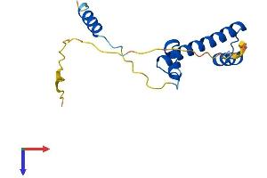 TAF12 Protein (AA 1-161) (His tag)