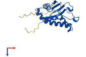 TRAPPC3 Protein (AA 1-180) (His tag)