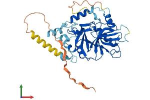 Protein Structure (PS) image for Snurportin 1 (SNUPN) (AA 1-358) protein (His tag) (ABIN7558381)