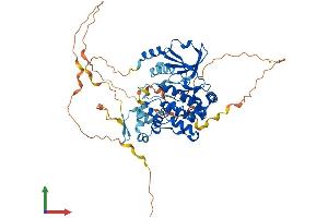 AlphaFold protein structure predicition of Human Recombinant PAK3 Protein, UniprotID O75914 (PAK3 Protein (PAK3) (AA 1-559) (His tag))