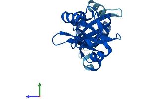 Protein Structure (PS) image for Nuclear Import 7 Homolog (NIP7) (AA 1-180) protein (His tag) (ABIN7549759)