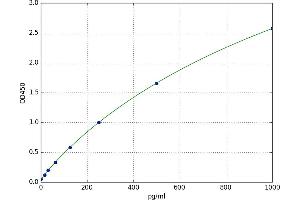Cell Division Cycle 42 (GTP Binding Protein, 25kDa) (CDC42) ELISA Kit