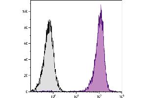 Human peripheral blood granulocytes were stained with Mouse Anti-Human CD11b-APC. (CD11b Antikörper  (APC))