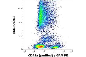 Flow cytometry surface staining pattern of human peripheral blood stained using anti-human CD42a (GR-P) purified antibody (concentration in sample 1 μg/mL) GAM PE.