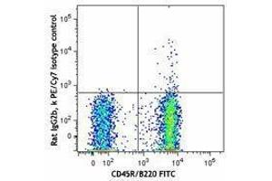 Flow Cytometry (FACS) image for anti-Chemokine (C-X-C Motif) Receptor 5 (CXCR5) antibody (PE-Cy7) (ABIN2659140) (CXCR5 Antikörper  (PE-Cy7))