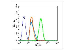 Hela cells were fixed with 70% ice-cold methanol overnight at 4℃, permeabilized with 90% ice-cold methanol for 20 min at -20℃, and incubated in 5% BSA blocking buffer for 30 min at room temperature. (Histone 3 Antikörper  (pSer28))