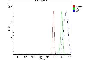 Flow Cytometry analysis of U87 cells using anti-Carbonic Anhydrase 9/CA9 antibody (ABIN7600076). (CA9 Antikörper  (AA 146-414))