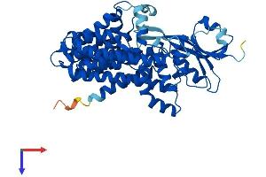 ALG12 Protein (AA 1-488) (His tag)