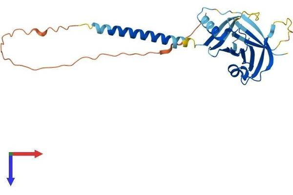 ITM2C Protein (AA 1-269) (His tag)