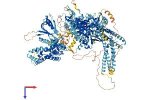 PREX2 Protein (AA 1-1606) (His tag)