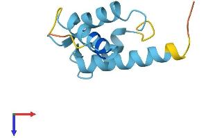 S100A13 Protein (AA 1-98) (His tag)