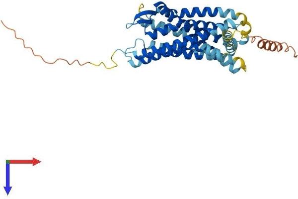 CCR6 Protein (AA 1-367) (His tag)